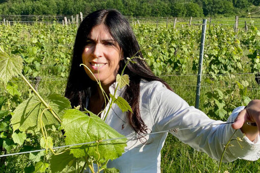 Domaine Valérie Courrèges