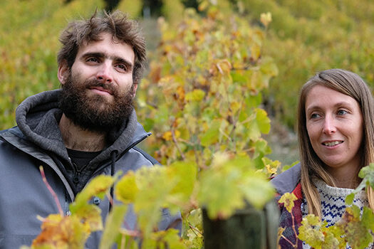 Domaine d'Ici Là