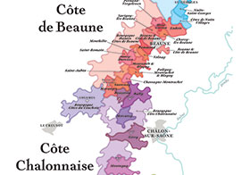 Domaines et vins de Bourgogne