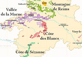 Domaines et vins de Champagne