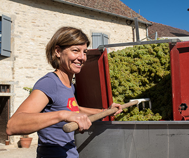 Domaine Agnès Paquet - Bourgogne