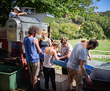 Domaine Borie La Vitarèle - Languedoc-Roussillon