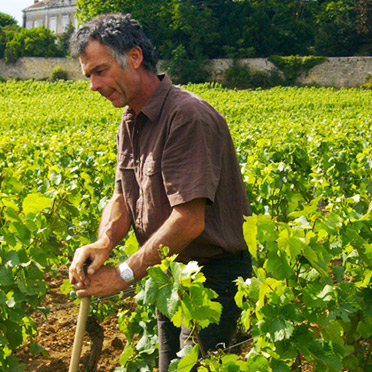 Domaine Les Champs de l’Abbaye - Bourgogne