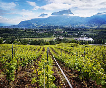 Domaine La Gerbelle - Savoie