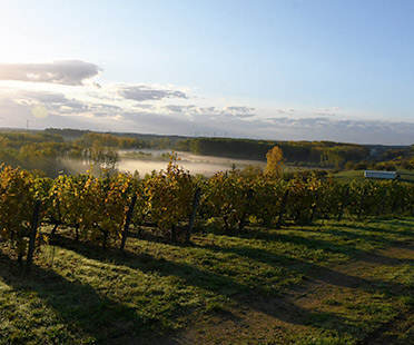 Domaine Les Poëte - Val de Loire