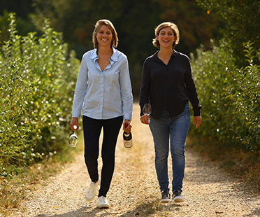 Domaine Matrot - Bourgogne