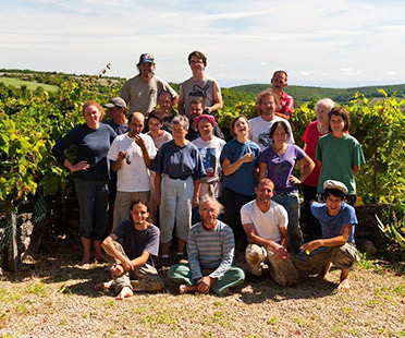 Domaine Nicolas Maillet - Bourgogne