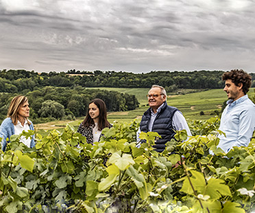 Domaine Roger Coulon - Champagne