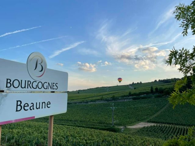 vignes-albert morot 2