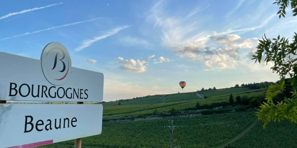 vignes-albert morot 2